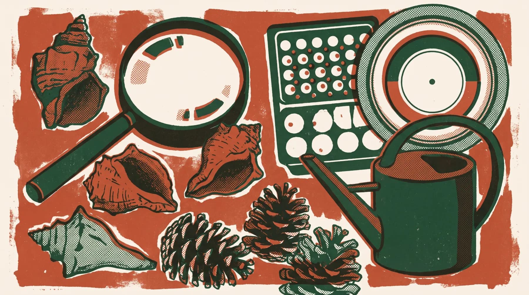 Illustration du cycle 1