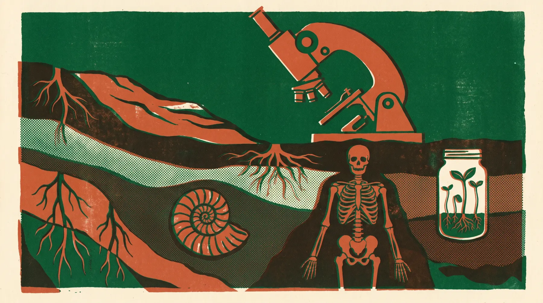 Illustration du cycle 4